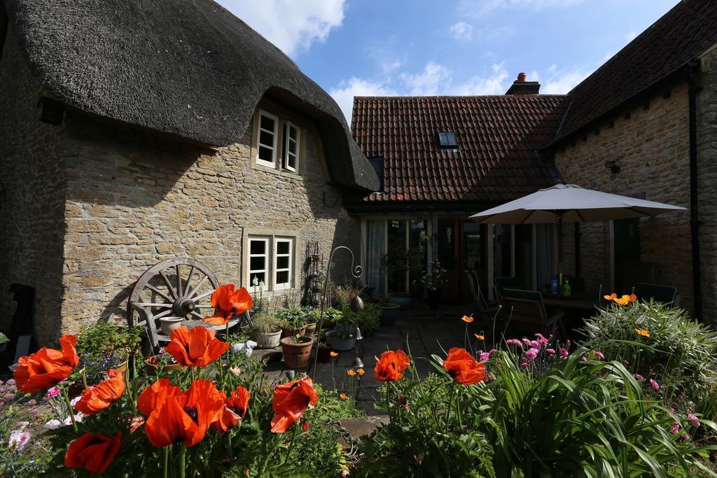 Thatch Cottage Lacock Luaran gambar